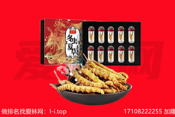 溧水区回收虫草.jpg